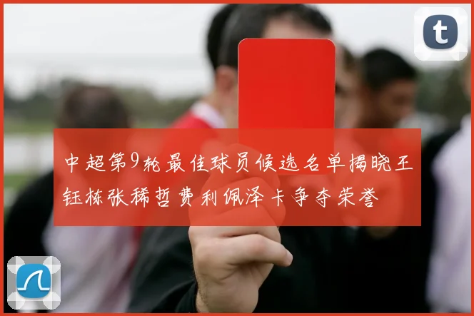 中超第9轮最佳球员候选名单揭晓王钰栋张稀哲费利佩泽卡争夺荣誉